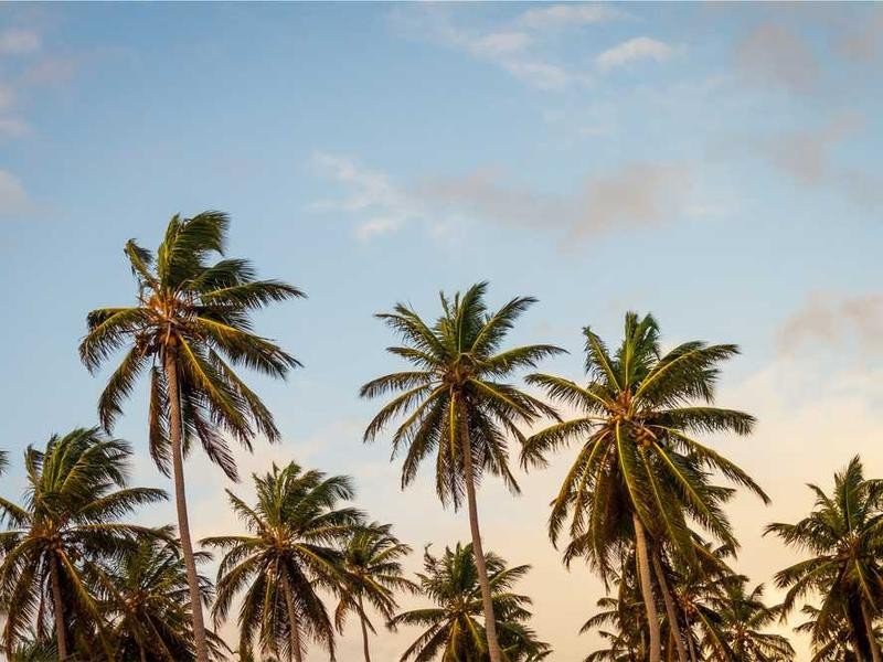 Restoration - property_1756220934205_pmml7g46kkc.jpg