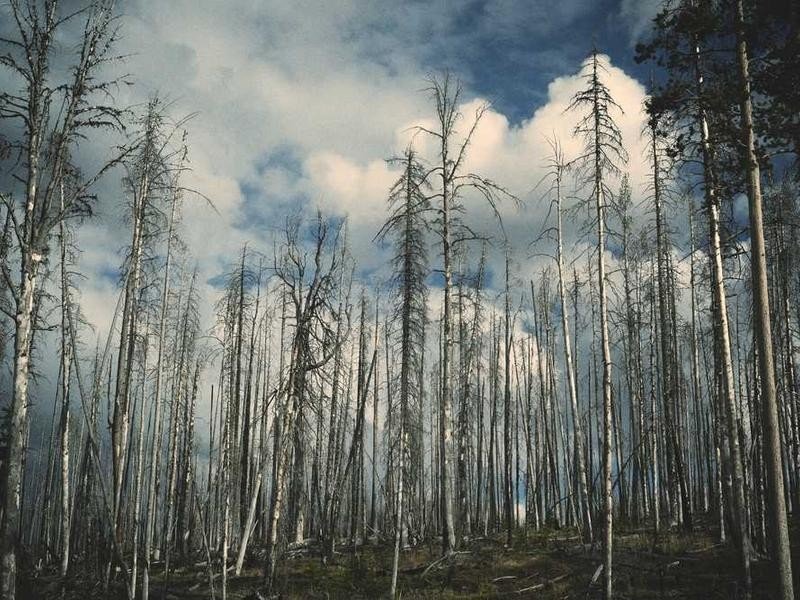 Construction site - property_1756221063246_3am4sk7gn8.jpg