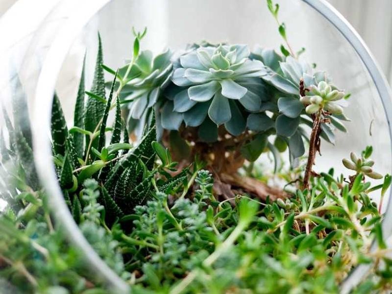 Agricultural land - property_1756221147788_jr8v1zrsmu.jpg