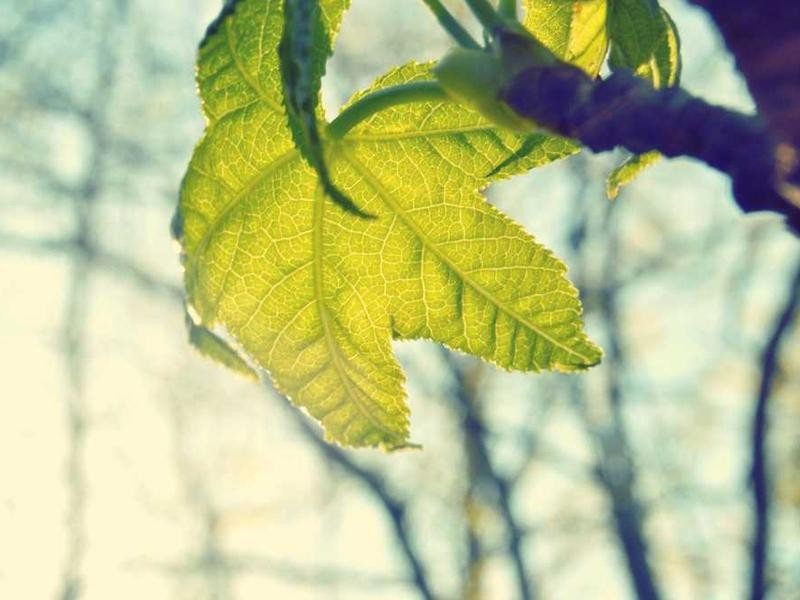 Countryside - property_1756221166901_3xz1qw6wev3.jpg