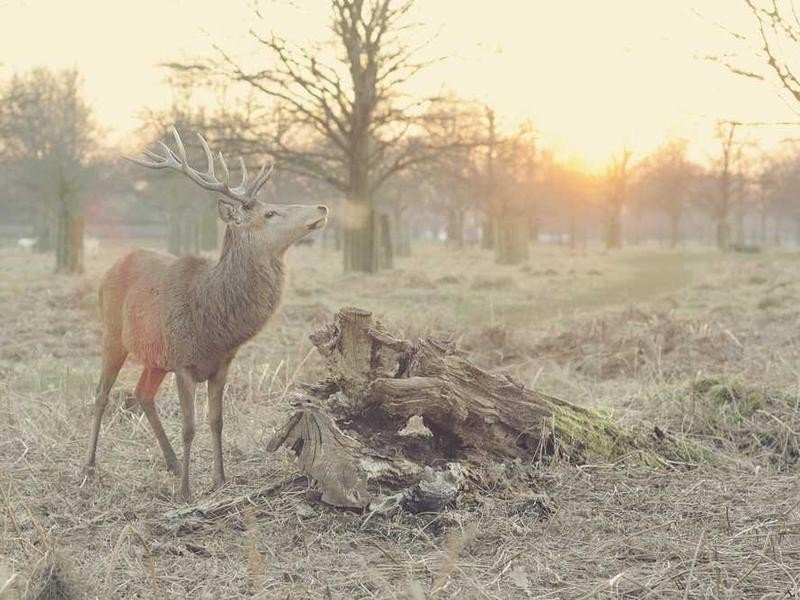 Residential plot - property_1756221178930_ulrfyv8izdo.jpg