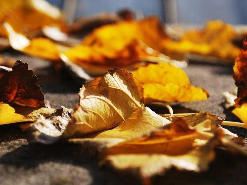 Investment - property_1756221181297_3prher10amf.jpg