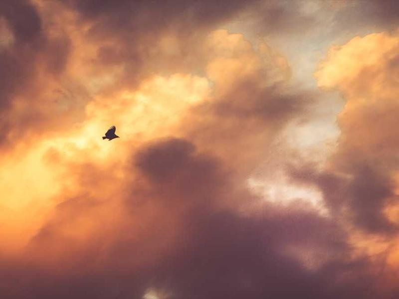 Investment - property_1756221260072_ai2k6wojr6b.jpg