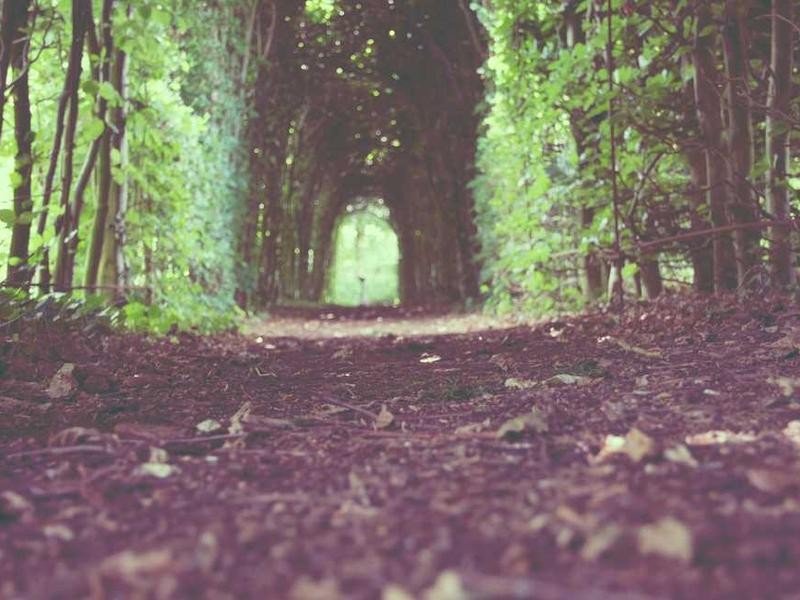 Woodland - property_1756221298233_z9xfukcwpkc.jpg